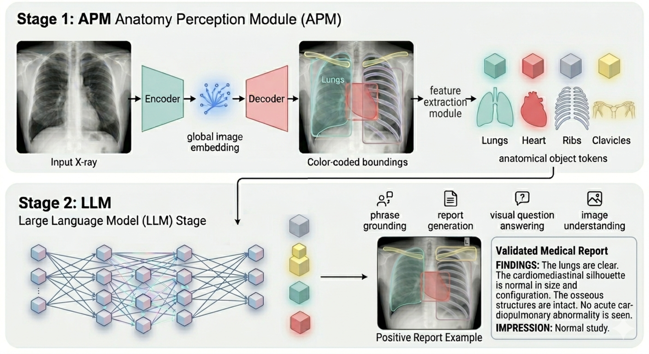 AnatomiX teaser illustration